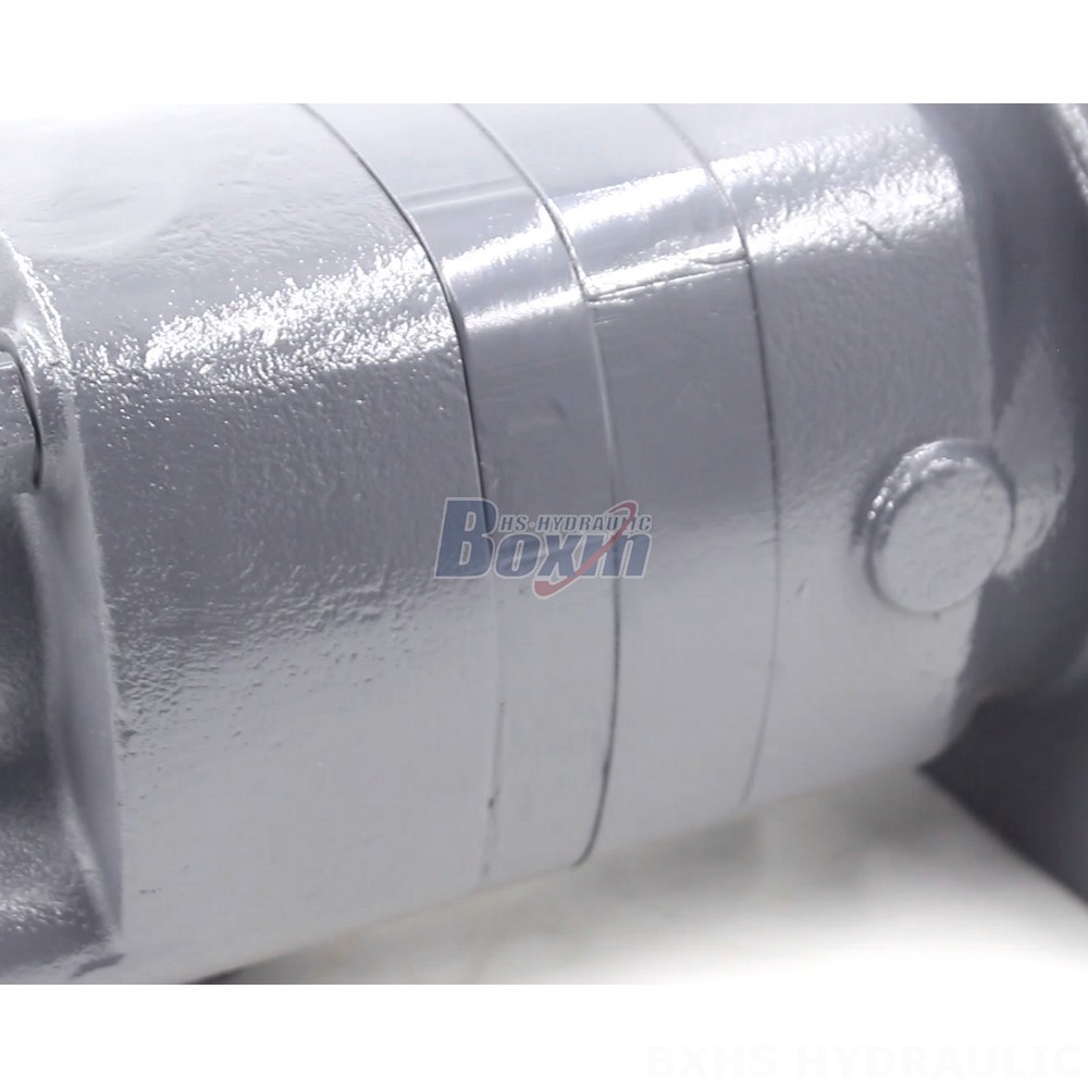 BM6 Cycloid Hydraulic Motor - 245 cc/r 150 Lpm - Factory Direct detail image
